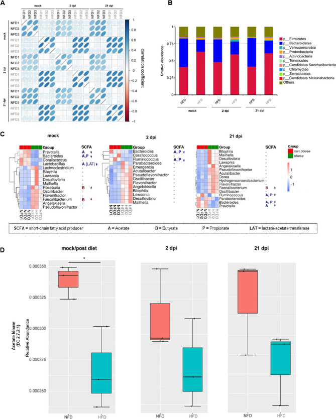 High-fat diet impairs microbial metabolite production and aggravates influenza A infection.