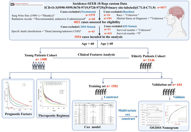 Clinical Characteristics, Prognostic Risk Factors, and Primary Treatment for Elderly Patients with Primary Central Nervous System Lymphoma: A Seer Database-Based Research.
