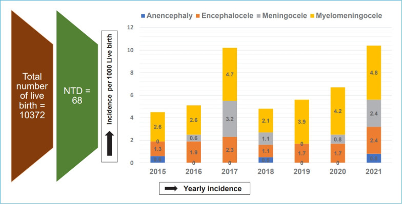 Incidence of neural tube defects in tertiary care university hospital in Bangladesh.