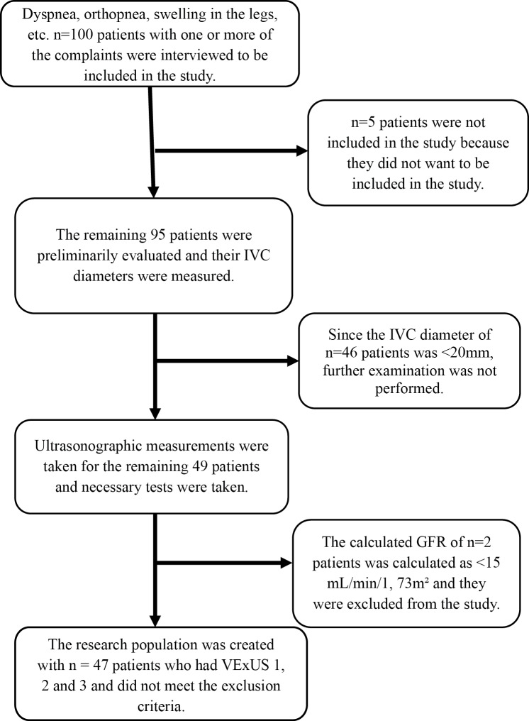 Effectiveness of VExUS scores for predicting mortality among patients followed up in the emergency department due to congestive heart failure: a prospective cross-sectional study.