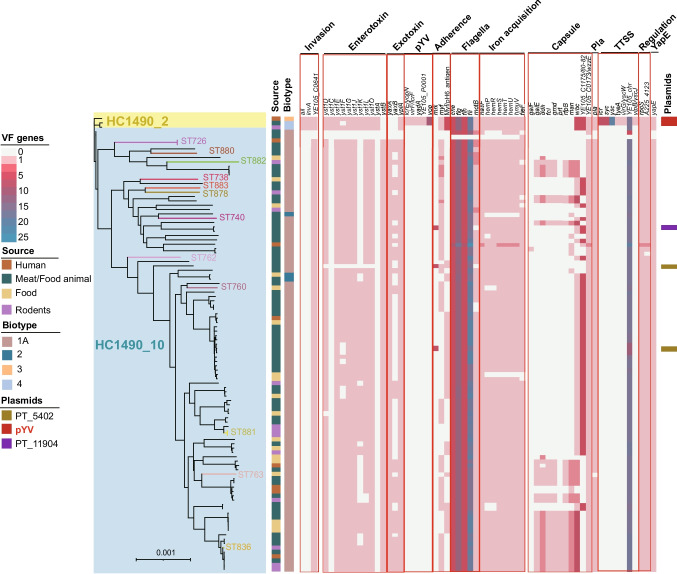 Prevalence and genomic insights into Yersinia enterocolitica in Southeastern China (2008–2022)