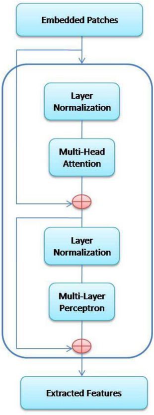 A novel hybrid vision UNet architecture for brain tumor segmentation and classification.