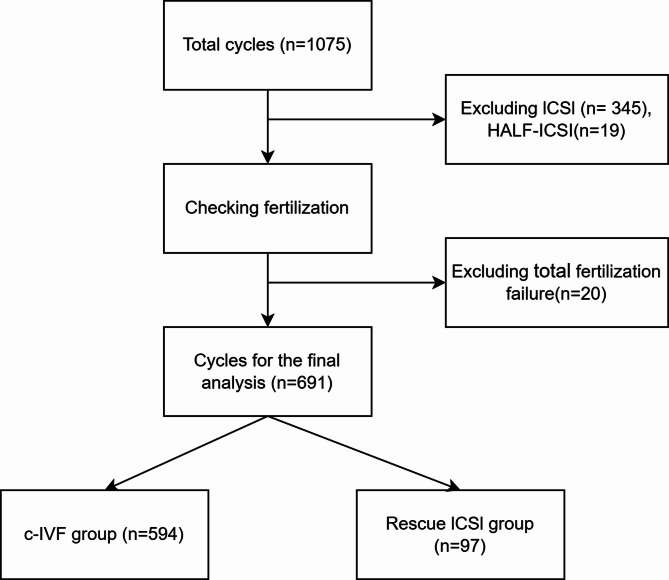Development of a single-center predictive model for conventional in vitro fertilization outcomes excluding total fertilization failure: implications for protocol selection.