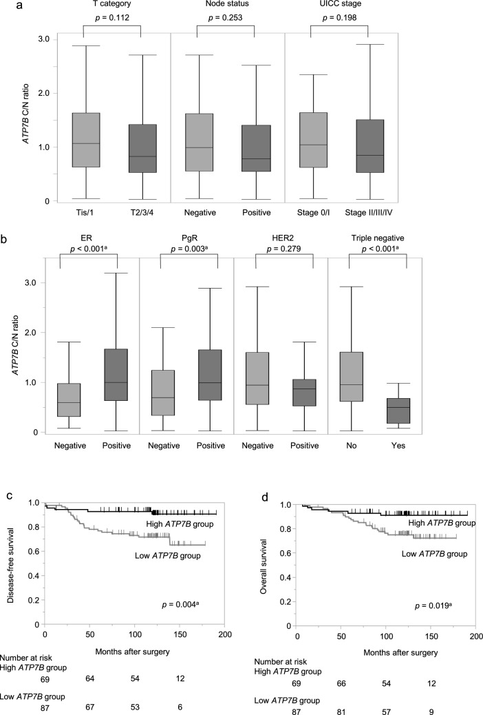 ATPase copper transporting beta attenuates malignant features with high expression as an indicator of favorable prognosis in breast cancer.