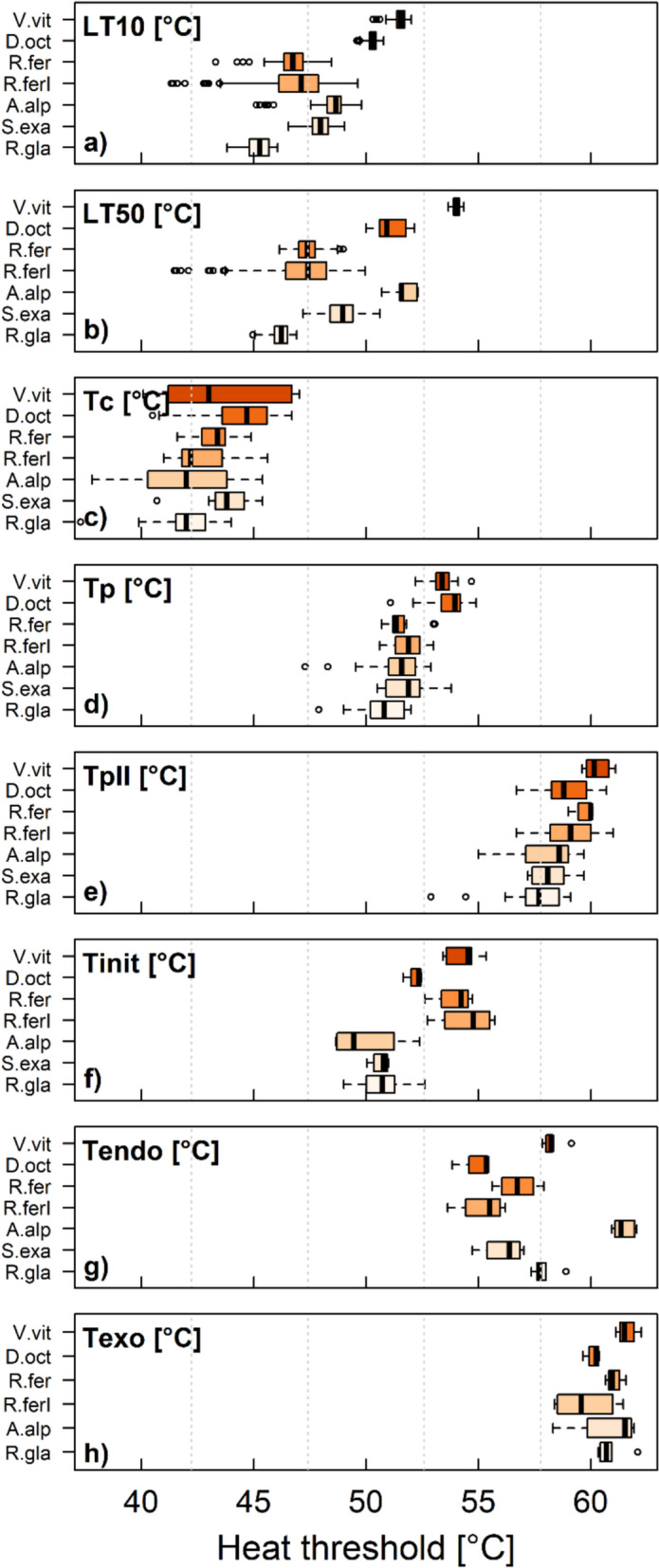 A novel method for measuring heat injury in leaves provides insights into the sequence of processes of heat injury development.