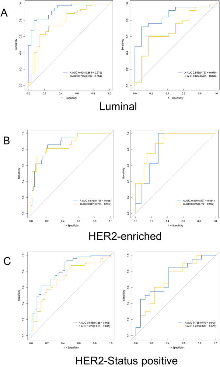 Dynamic contrast-enhanced MRI-based radiomics model of intra-tumoral kinetic heterogeneity for predicting breast cancer molecular subtypes.