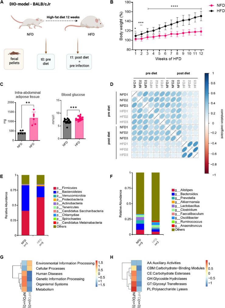 High-fat diet impairs microbial metabolite production and aggravates influenza A infection.