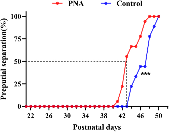 Role of KNDy neurons in puberty onset in male offspring following prenatal androgen exposure.