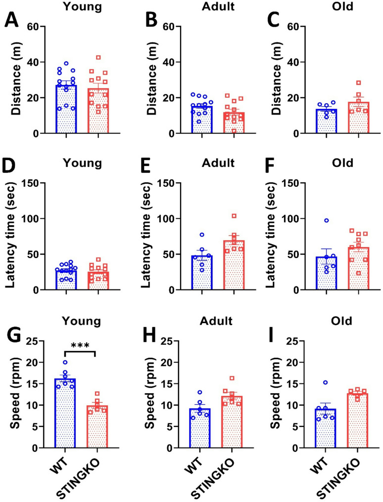 Loss of stimulator of interferon genes (STING) promotes accumulation of cholesterol and triglycerides throughout life in mice.