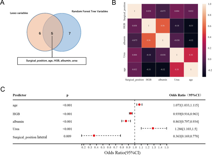 Predicting the perioperative transfusion risk of proximal femoral antirotation nailing (PFNA) for elderly patients with intertrochanteric fractures: a new predictive nomogram.