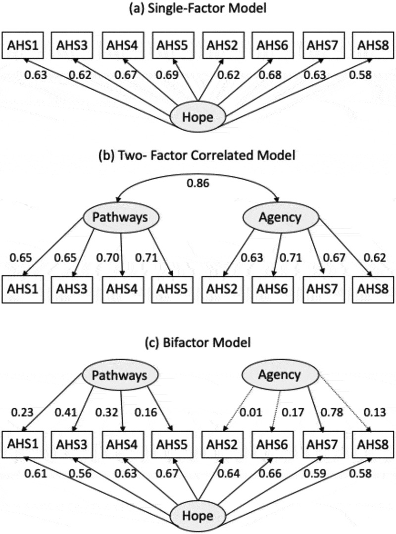 Adult Hope Scale: validation in older adults.