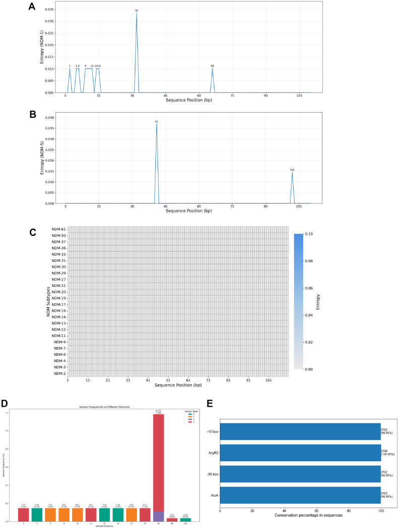 Highly Conserved Genetic Factors Regulating <i>bla</i><sub>NDM</sub> Gene Expression.
