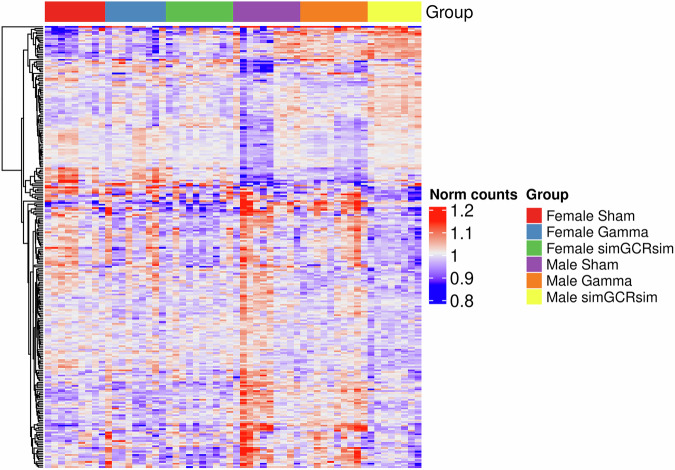 The effects of space radiation on the transcriptome of heart right ventricle tissue.