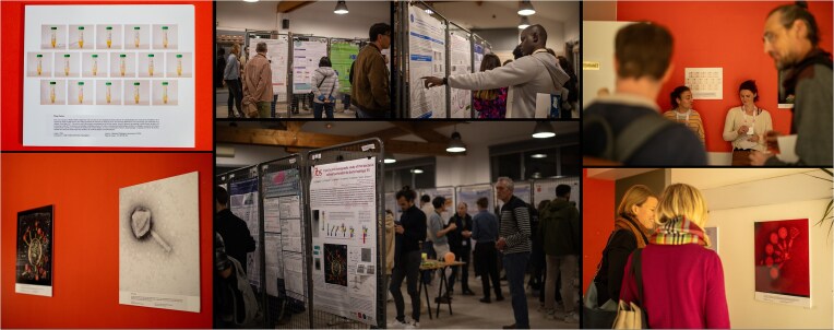 "French Phage Network" annual conference: ninth meeting report.