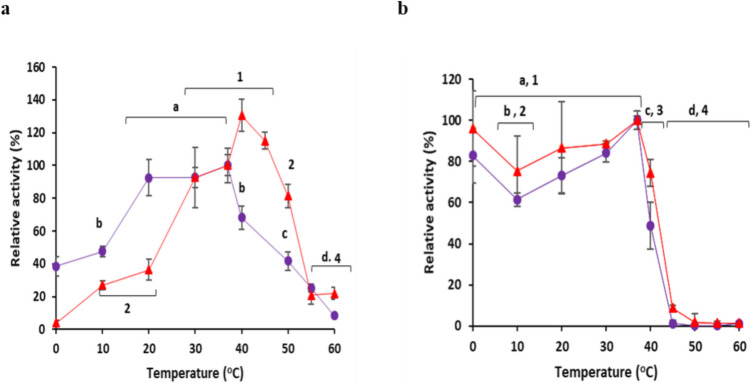 Immobilized β-galactosidase BgaC from Bifidobacterium adolescentis retains stability and activity during repeated cycles of use