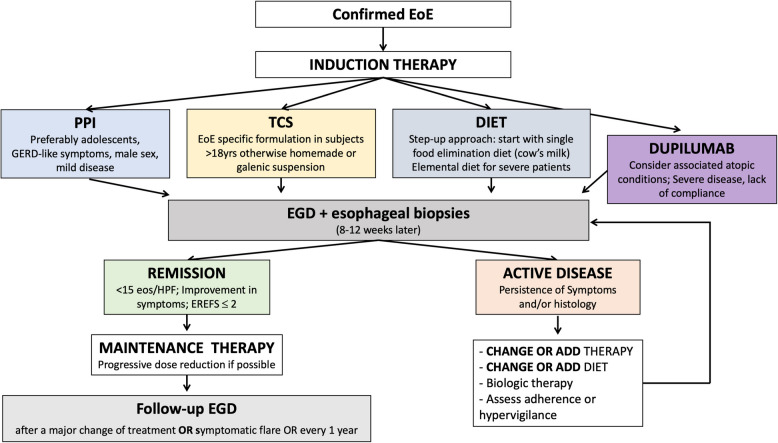 Eosinophilic esophagitis in children and adolescents: a clinical practice guideline.