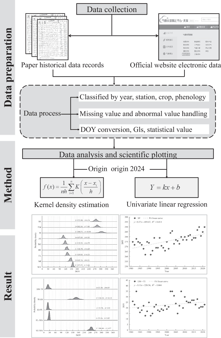 Variation of winter wheat phenology dataset in Huang Huai Hai Plain of China from 1981 to 2021.