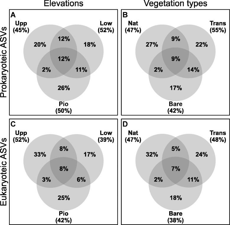 Microbial metacommunity of salt marshes rebuilds along an elevational gradient after initial disturbance.