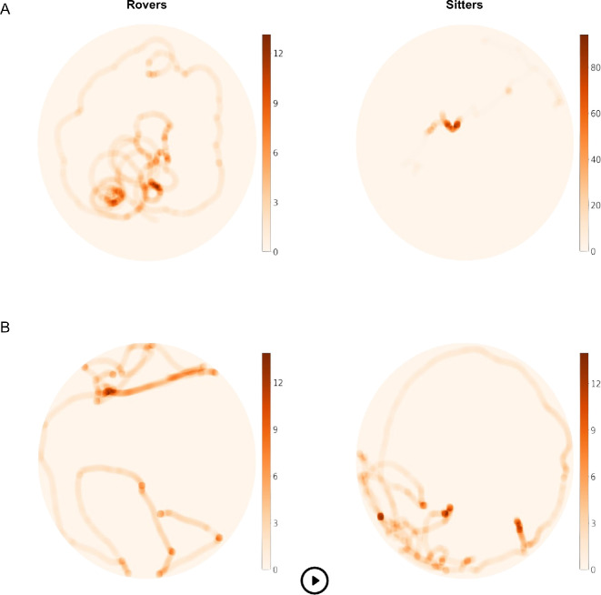 Foraging actively can be advantageous in heterogeneous environments.