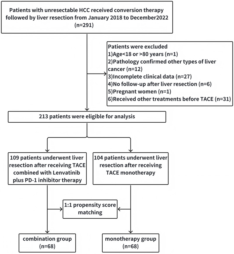 TACE Combined with Lenvatinib-PD-1 Versus TACE Monotherapy as Conversion Therapy Before Liver Resection in Unresectable Hepatocellular Carcinoma: A Retrospective, Propensity Score Matching Study.