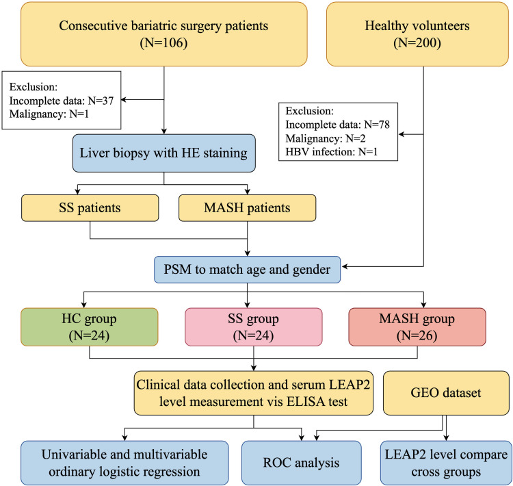 Serum LEAP2 Levels Across the Spectrum of Metabolic Dysfunction-Associated Fatty Liver Disease: A Potential Noninvasive Biomarker for Severity Stratification.
