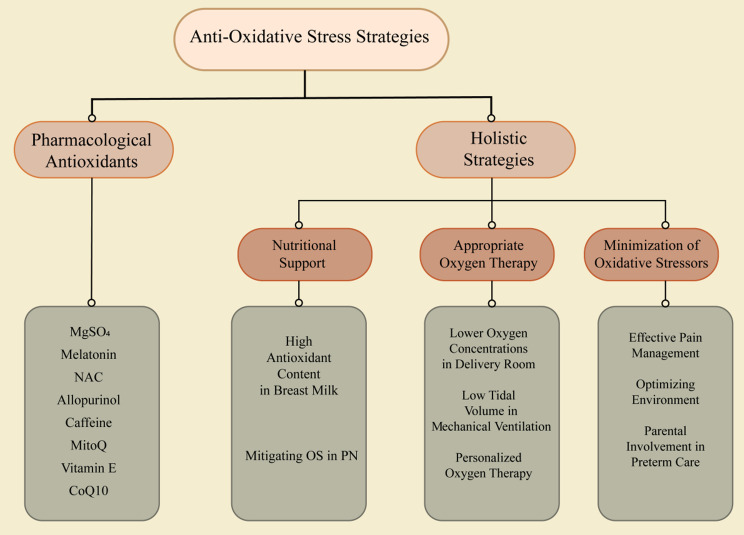 From vulnerability to resilience: unraveling the role of oxidative stress in preterm brain injury.
