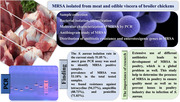 Investigating the Prevalence of Enterotoxin and Antibiotic Resistance in Methicillin-Resistant Staphylococcus aureus (MRSA) Isolated From Meat and Edible Viscera of Broiler Chickens.