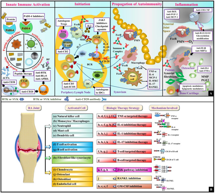 Targeting rheumatoid arthritis: a molecular perspective on biologic therapies and clinical progress.