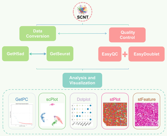 SCNT: an R package for data analysis and visualization of single-cell and spatial transcriptomics.