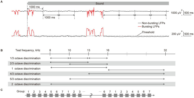 Vagus nerve stimulation modulates information representation of sustained activity in layer specific manner in the rat auditory cortex.