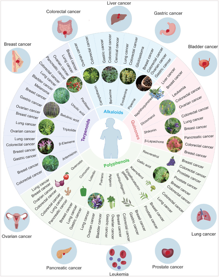 Target identification of natural products in cancer with chemical proteomics and artificial intelligence approaches.