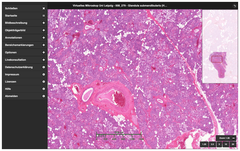 Microscopy without a microscope? Opportunities and limitations of dental studies in anatomy during the COVID-19 pandemic in Germany.