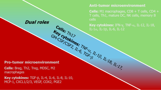 Key players in the breast cancer microenvironment: From fibroblasts to immune cells.