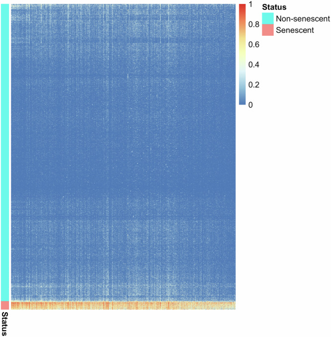 Identification of markers for neurescence through transcriptomic profiling of postmortem human brains.