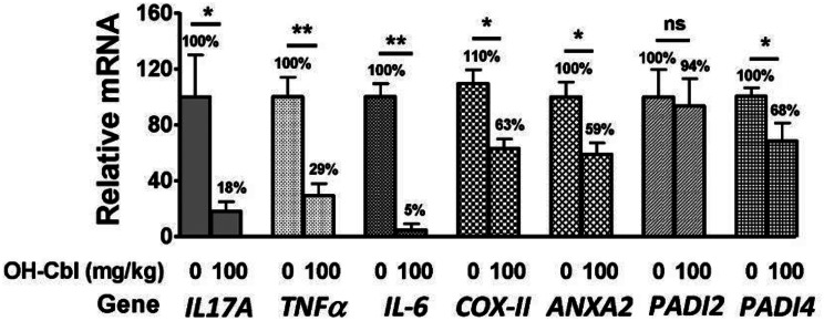 Targeting rheumatoid arthritis: a molecular perspective on biologic therapies and clinical progress.