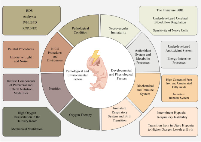 From vulnerability to resilience: unraveling the role of oxidative stress in preterm brain injury.