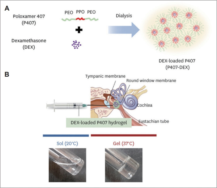 Recent Advances in Functionalized Nanoparticles for Targeted and Controlled Inner Ear Therapy via Localized Cochlear Delivery.