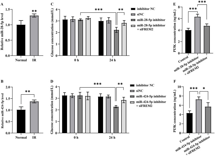 The predictive value of miR-28-5p and miR-424-5p in metabolic syndrome and their mechanism of action through regulation of Fras-1-related extracellular matrix protein 2.