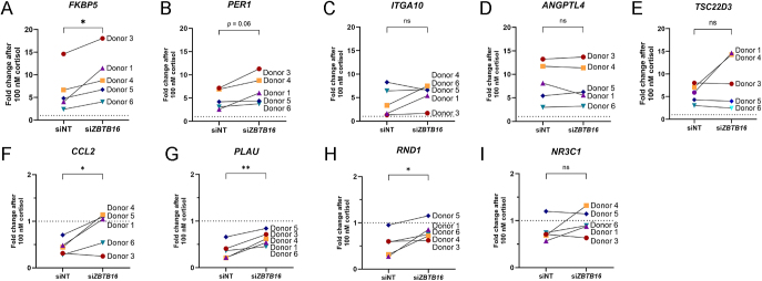 The glucocorticoid receptor is affected by its target ZBTB16 in a dissociated manner.