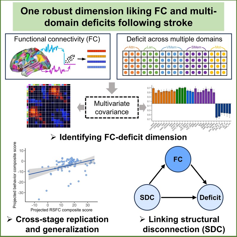 Latent dimension linking functional connectivity with post-stroke deficits across multiple domains.