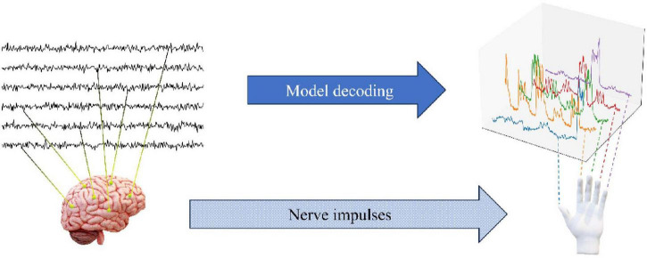 DTCNet: finger flexion decoding with three-dimensional ECoG data.