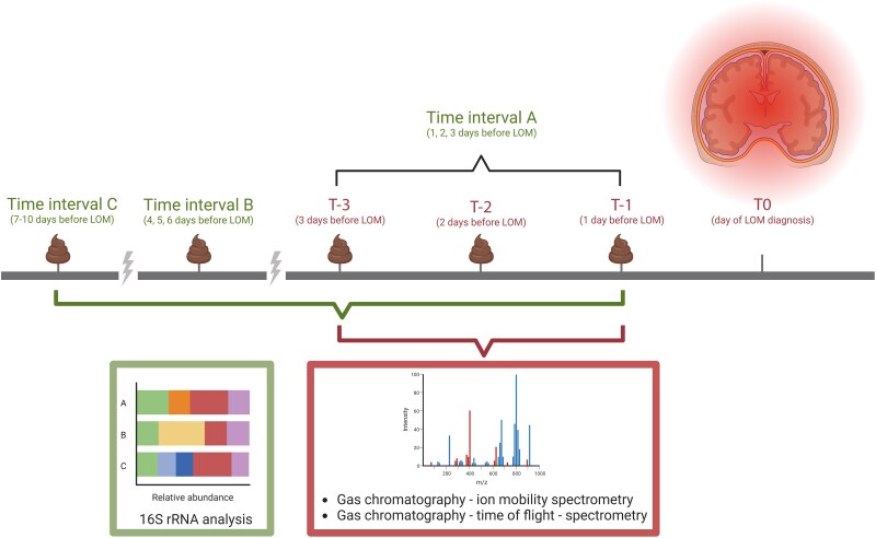 Fecal Microbiota and Volatile Metabolome Pattern Alterations Precede Late-Onset Meningitis in Preterm Neonates.
