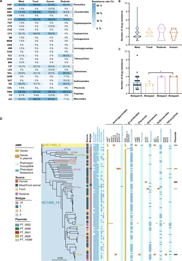 Prevalence and genomic insights into Yersinia enterocolitica in Southeastern China (2008–2022)