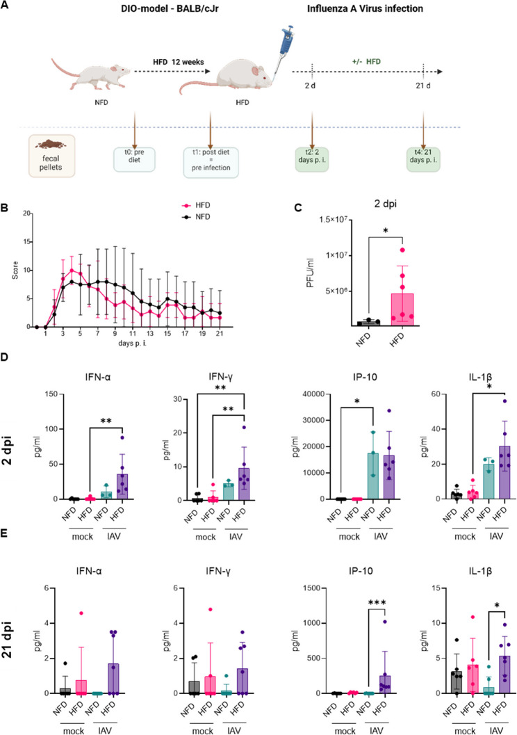 High-fat diet impairs microbial metabolite production and aggravates influenza A infection.