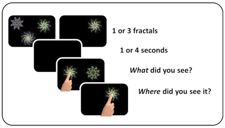 Stronger Short-Term Memory, Larger Hippocampi and Area V1 in People with High VVIQ Scores.