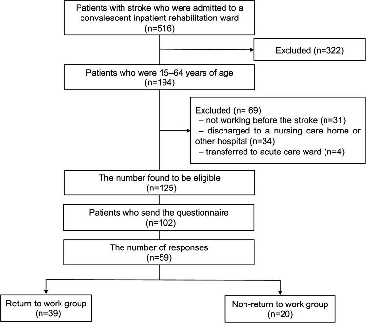 The proportion and clinical characteristics of patients with stroke who returned to work six months after discharge from a convalescent rehabilitation ward: a descriptive study.