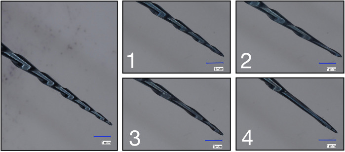 Motors vs. operators in simulated root canal shaping.