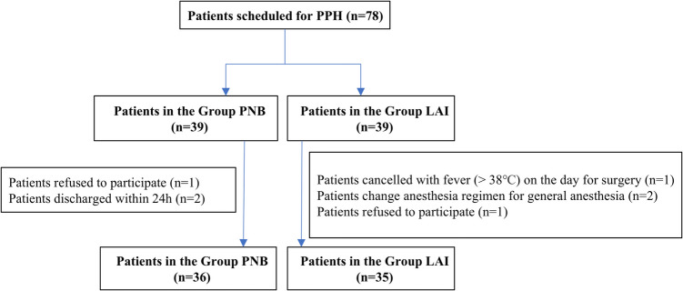 Ultrasound-guided pudendal nerve block for postoperative pain management in procedures for prolapse and hemorrhoids: a randomized, double-blinded trial.