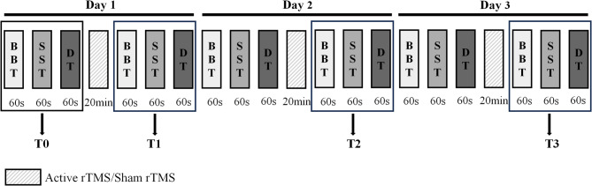 Repetitive transcranial magnetic stimulation influences cognitive-motor dual-task performance in children with cerebral palsy: a randomized controlled study.