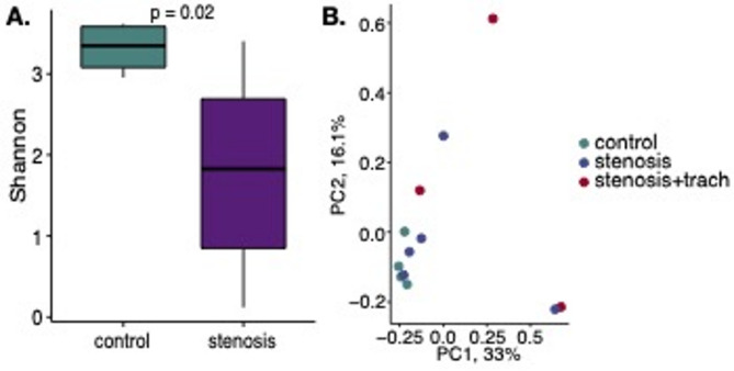 Metagenomic whole genome shotgun analysis of the airway microbiome in laryngotracheal stenosis: a pilot study.